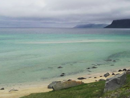 SEEDS 062. / Talknafjordur in the Westfjords / 2016 – Islàndia