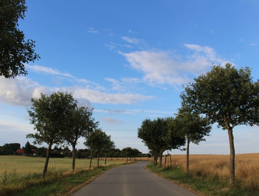 NIG08/Lenzen I/2018/Alemania