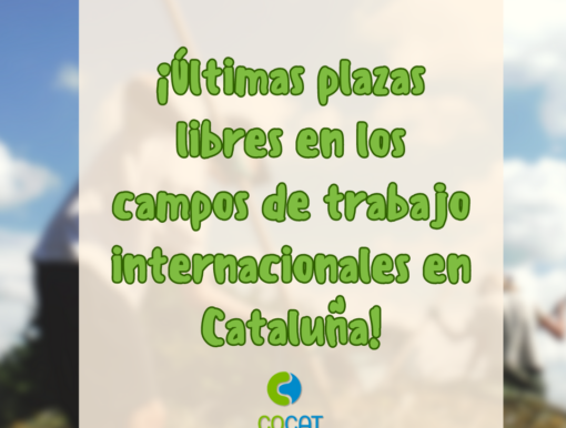 ¡¡ÚLTIMAS PLAZAS LIBRES EN LOS CAMPOS DE TRABAJO INTERNACIONALES DE CATALUÑA!!
