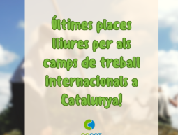 ÚLTIMES PLACES LLIURES PER ALS CAMPS DE TREBALL INTERNACIONALS DE CATALUNYA!!